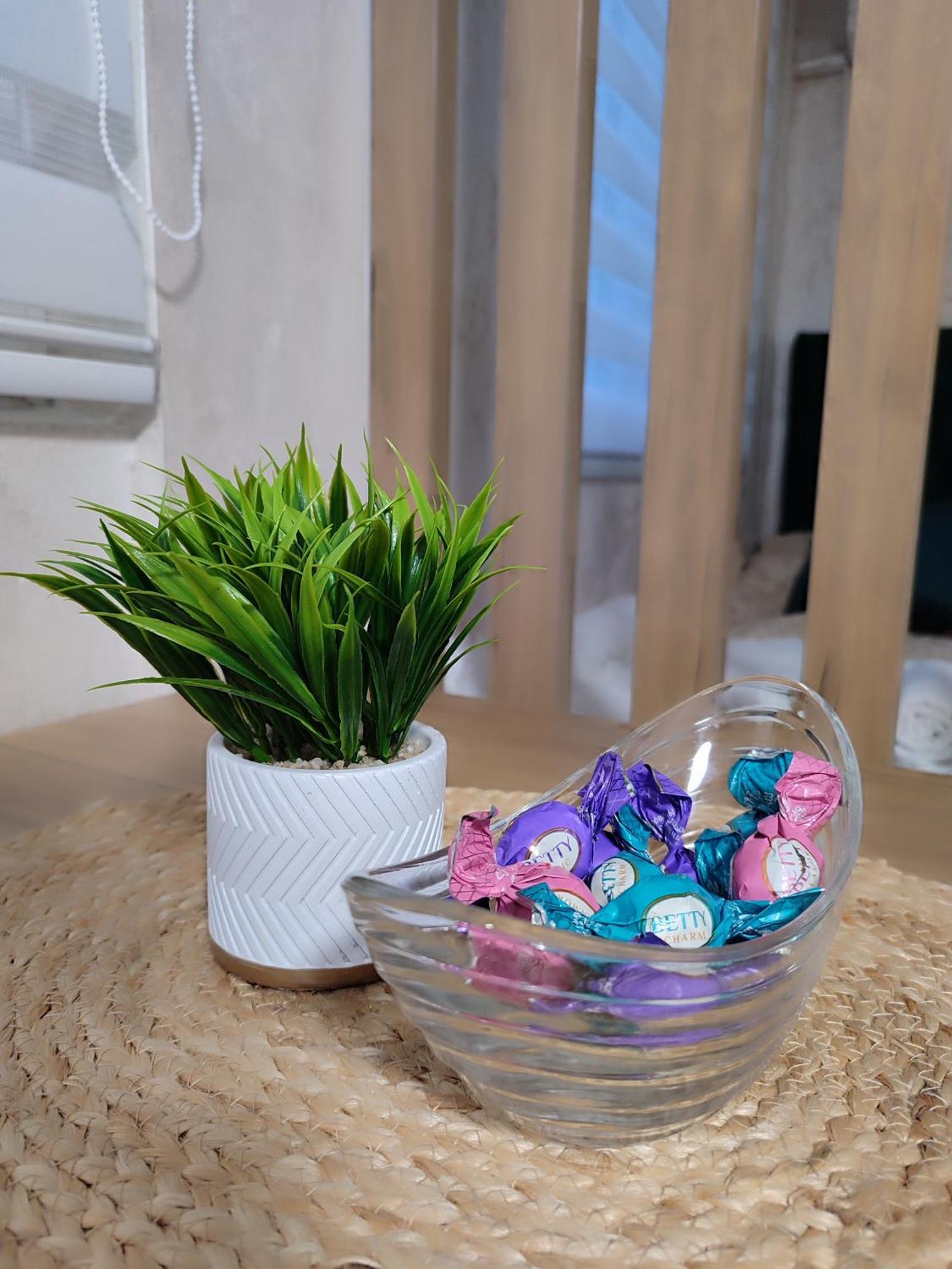 Studio Apartman Free Parking Rubikon Belgrade Chambre photo